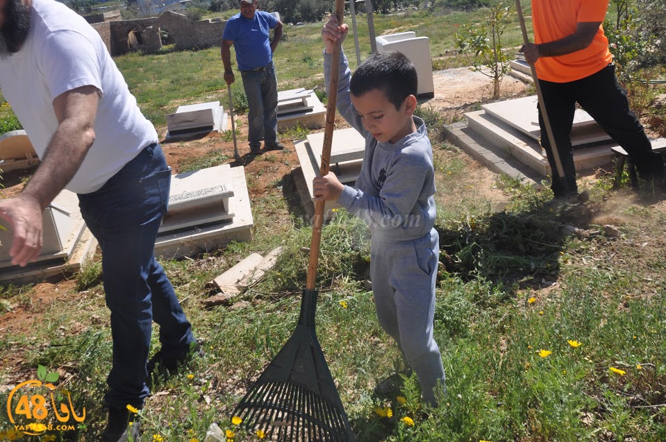 tasohamlalanjna (54).jpg